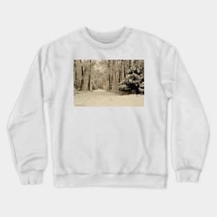 Southern Illinois Winter Scene 3_ Dec 2012 Crewneck Sweatshirt